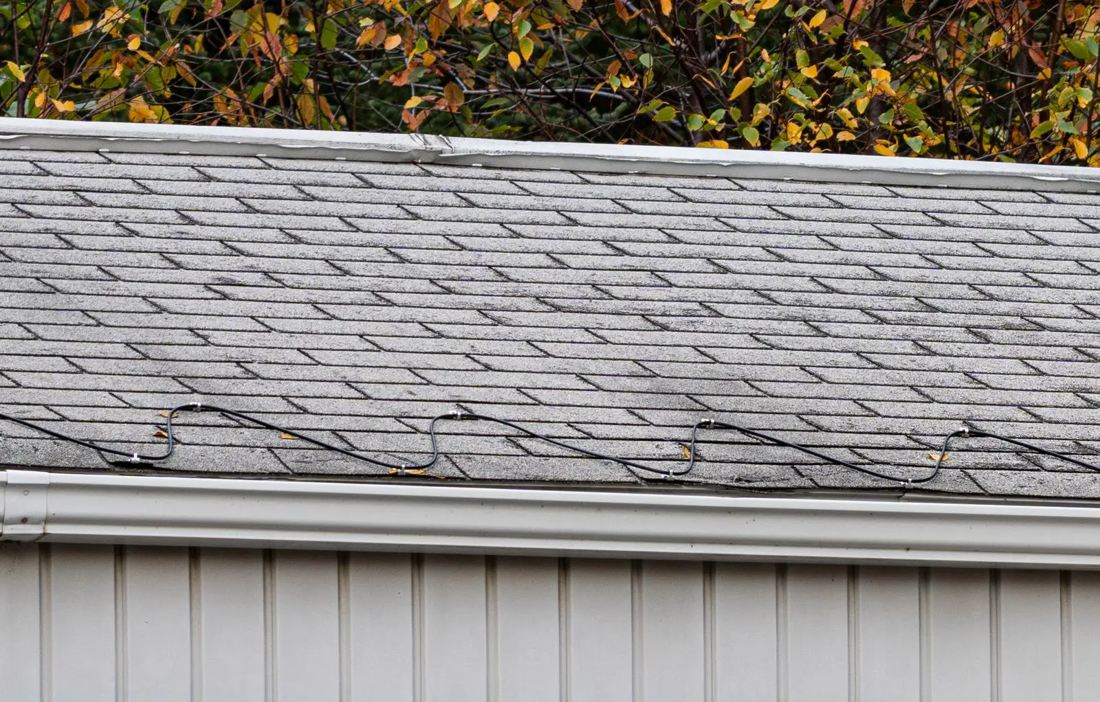 A heat cable clipped in a zigzag along the shingles above a white gutter